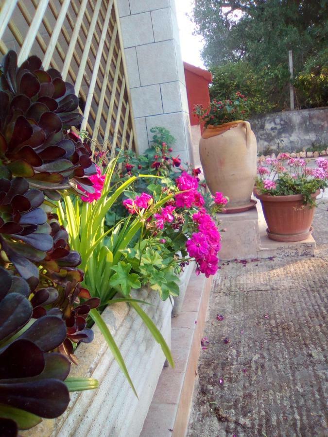 Bed and Breakfast Casa Te La Bradamante Magliano Zewnętrze zdjęcie