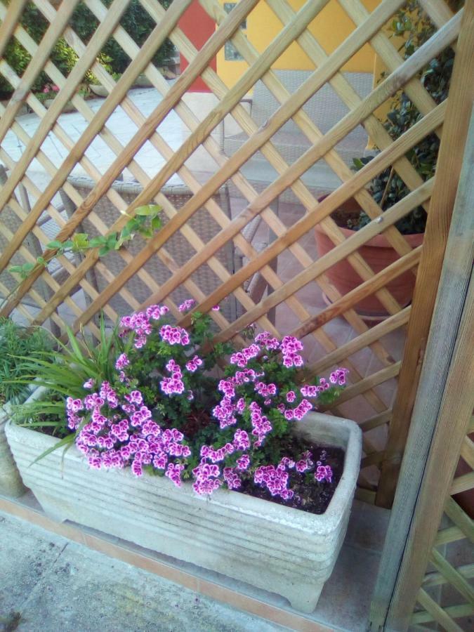 Bed and Breakfast Casa Te La Bradamante Magliano Zewnętrze zdjęcie