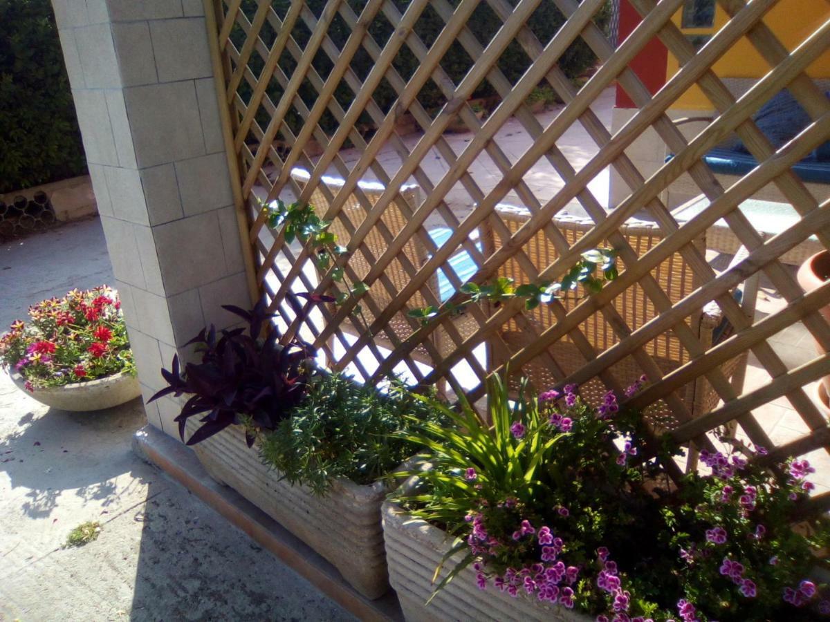 Bed and Breakfast Casa Te La Bradamante Magliano Zewnętrze zdjęcie
