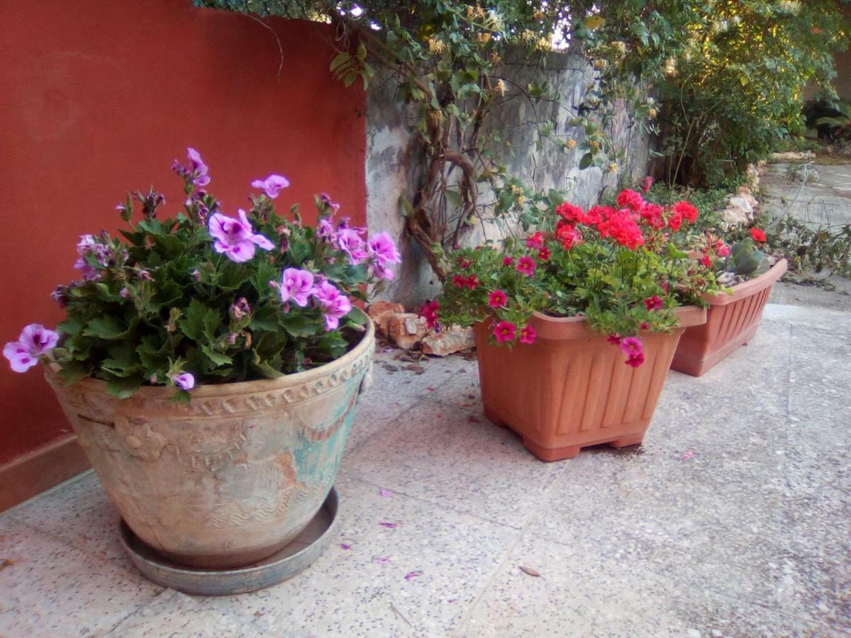 Bed and Breakfast Casa Te La Bradamante Magliano Zewnętrze zdjęcie